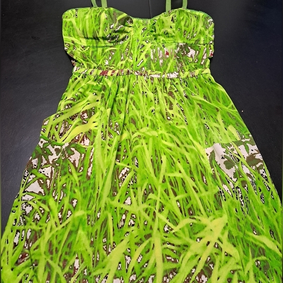 Anthropologie Silk Sculpted Green Grass Slip Dress     Size 2 - Picture 8 of 15